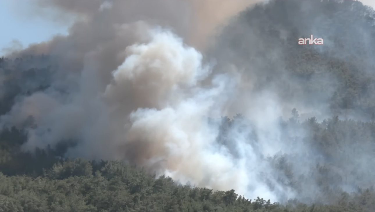 Μεγάλες πυρκαγιές στη Σμύρνη – έκλεισε το αεροδρόμιο