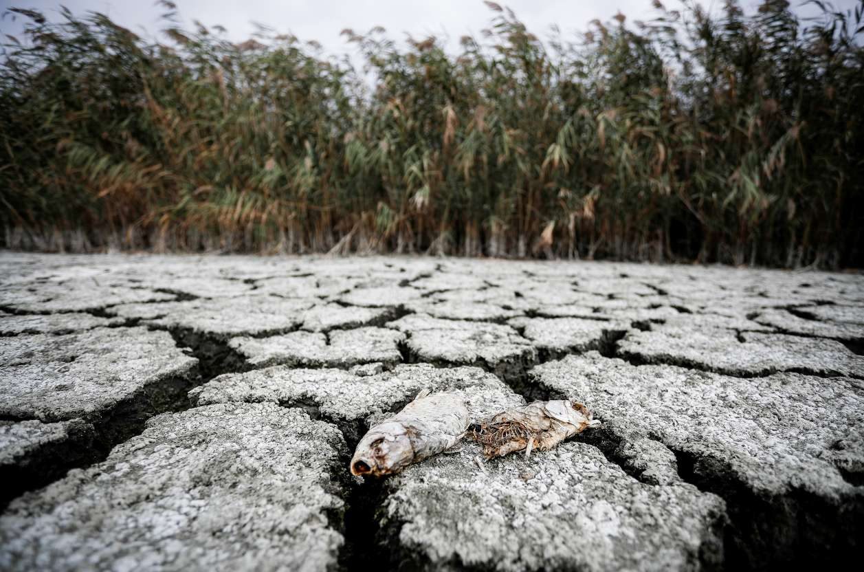 Αυτές είναι οι πέντε κατεπείγουσες δράσεις για τη λειψυδρία