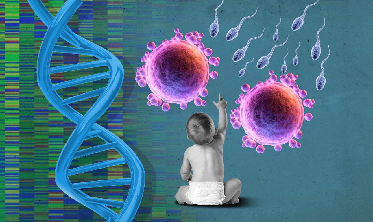 Μωρά από τρεις γονείς, χωρίς κληρονομικές ασθένειες