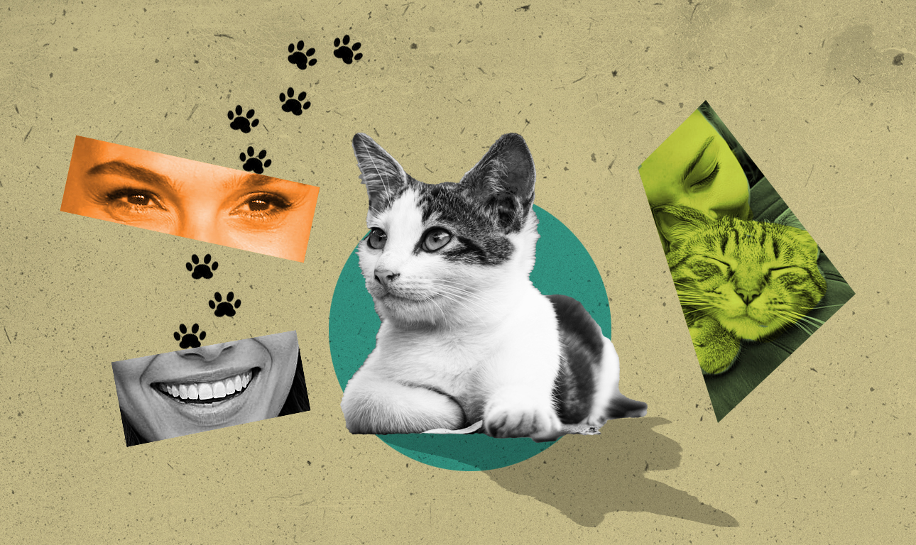 Καινούργια στον κόσμο των pet (Μέρος Β’)