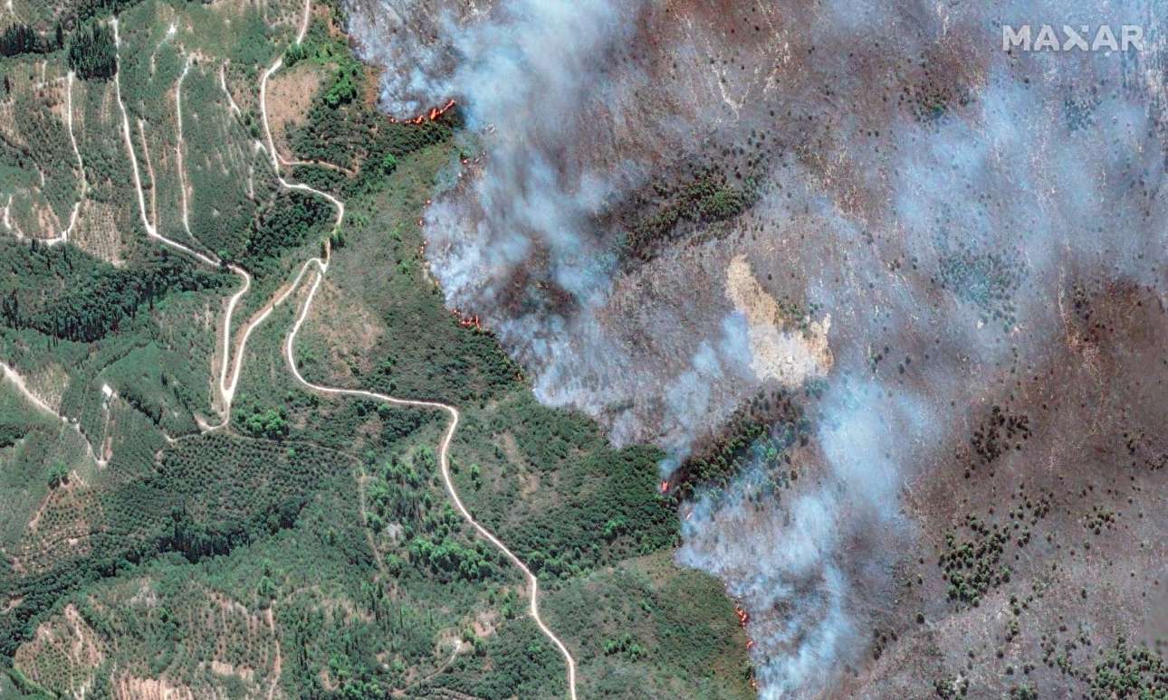 Οι δορυφόροι αποκάλυψαν τον εφιάλτη: Κρανίου τόπος 100.000 στρέμματα σε Χίο, Ζάκυνθο, Πρέβεζα, Αχαΐα