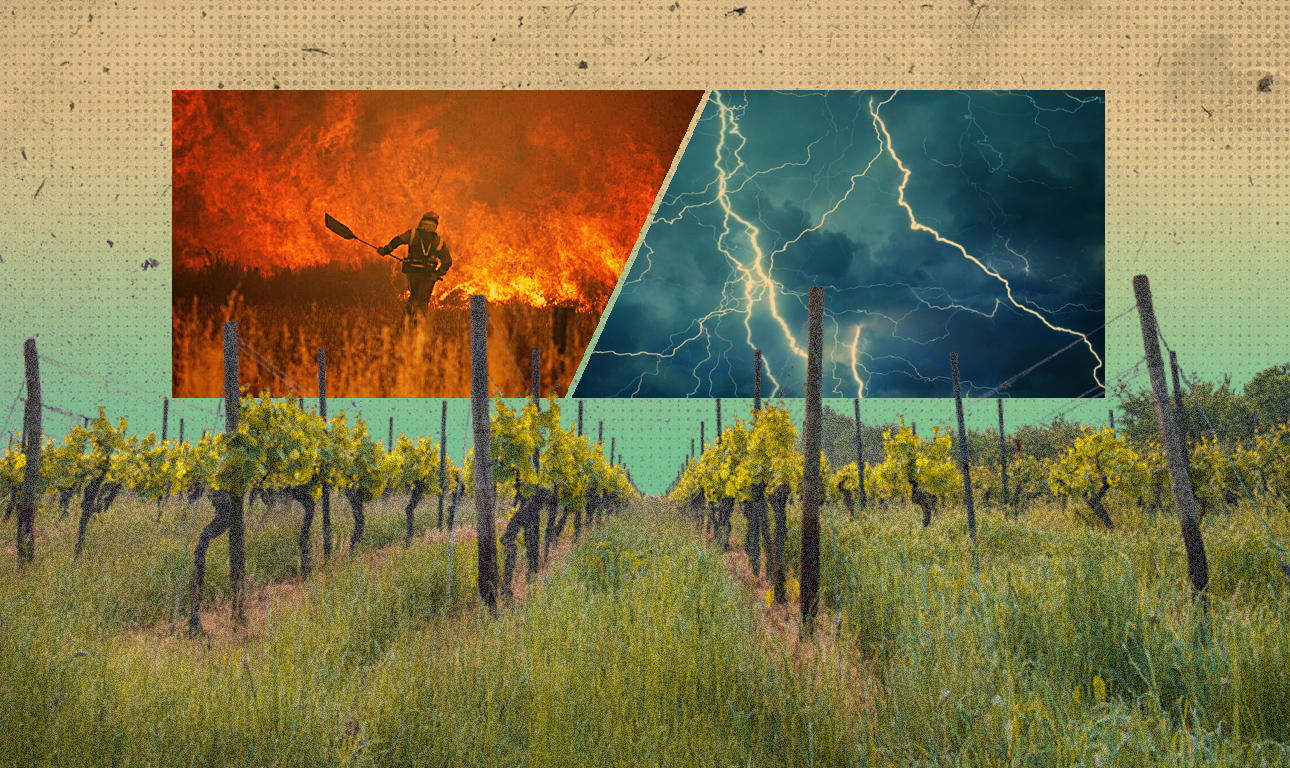 Οι ευρωπαίοι αγρότες απέναντι στην κλιματική αλλαγή