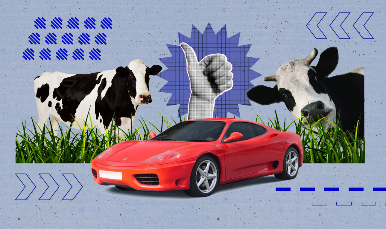 «Βλάχα» άνθρωπος