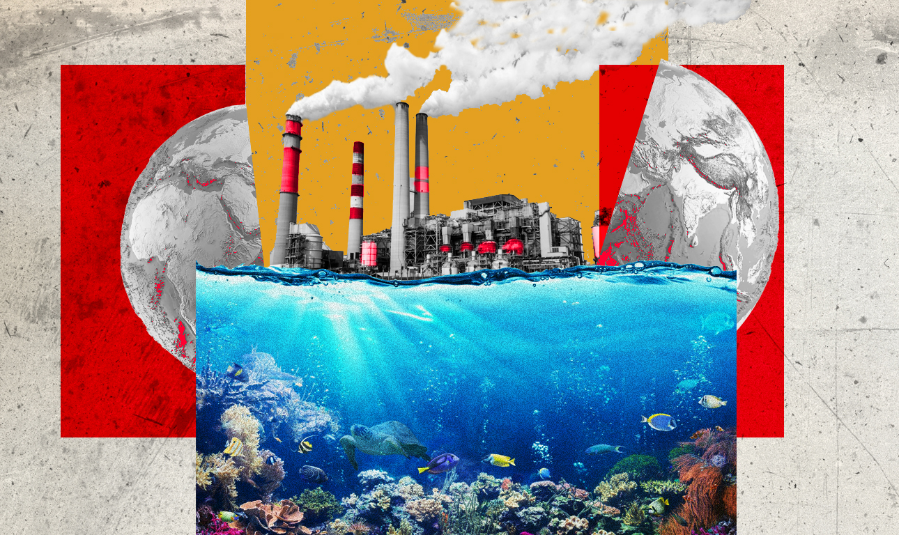 Η μόλυνση των ωκεανών θέτει σε θανάσιμο κίνδυνο τη θαλάσσια ζωή