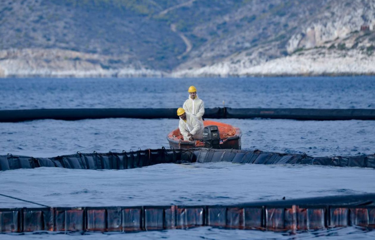 Θαλάσσια ρύπανση στον Πειραιά – Αναζητούνται οι υπαίτιοι
