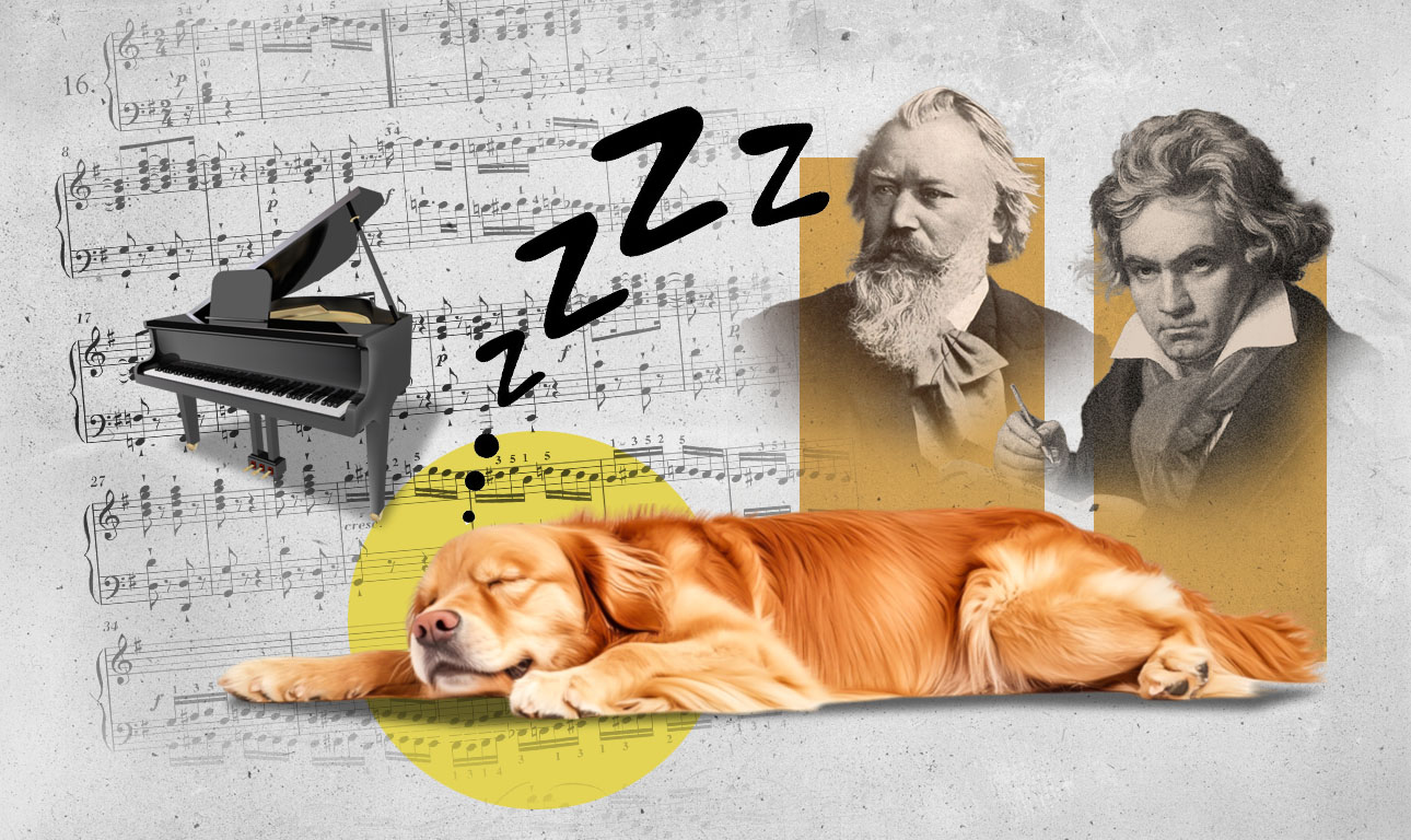 Μπορούν ο Μπραμς ή ο Μπετόβεν να ηρεμήσουν τα ζώα;