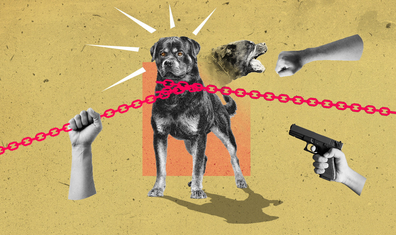 «Λογικό να επιτεθεί, ήταν Ροτβάιλερ»