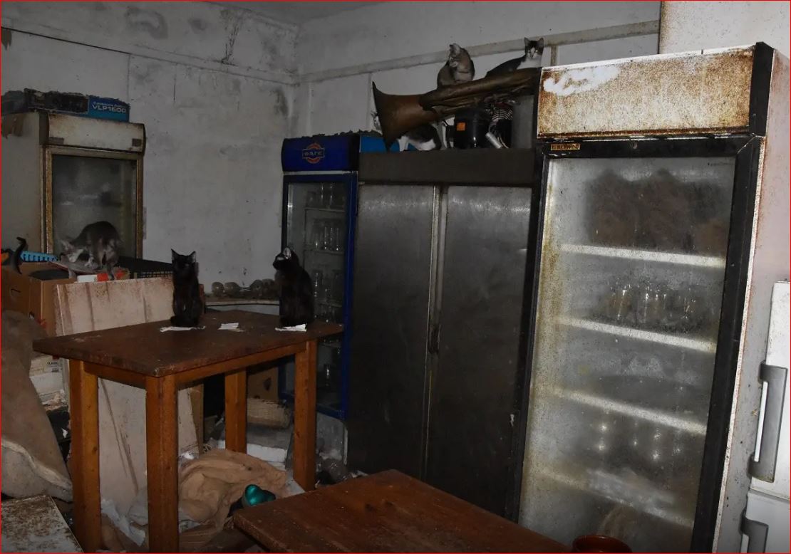 Πρόστιμο – μαμούθ 1,7 εκατ. ευρώ σε κάτοικο της Δονούσας – βασάνιζε 58 γάτες