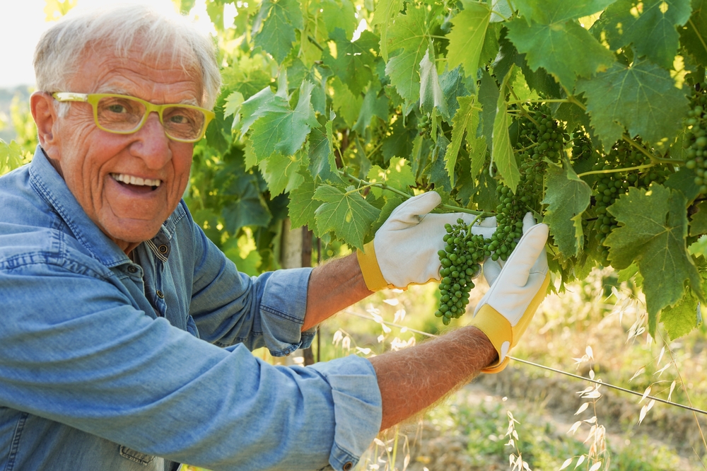 Οι αιωνόβιοι της Ιταλίας: Αλλοι 2.000 άνθρωποι πέρασαν τα 100 το 2025