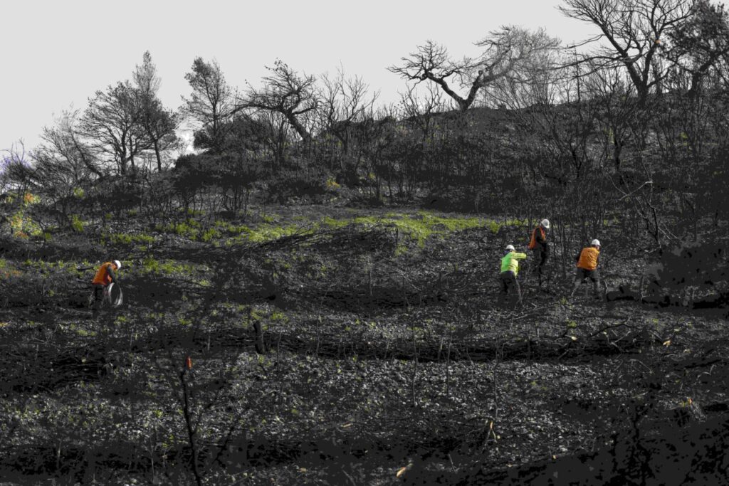 Coca Cola Τρία Eψιλον: Με ταχείς ρυθμούς η αποκατάσταση των πυρόπληκτων περιοχών Πάτρας-Αχαΐας