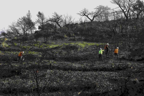 Coca Cola &Tau;&rho;ί&alpha; E&psi;&iota;&lambda;&omicron;&nu;: &Mu;&epsilon; &tau;&alpha;&chi;&epsilon;ί&sigmaf; &rho;&upsilon;&theta;&mu;&omicron;ύ&sigmaf; &eta; &alpha;&pi;&omicron;&kappa;&alpha;&tau;ά&sigma;&tau;&alpha;&sigma;&eta; &tau;&omega;&nu; &pi;&upsilon;&rho;ό&pi;&lambda;&eta;&kappa;&tau;&omega;&nu; &pi;&epsilon;&rho;&iota;&omicron;&chi;ώ&nu; &Pi;ά&tau;&rho;&alpha;&sigmaf;-&Alpha;&chi;&alpha;ΐ&alpha;&sigmaf;