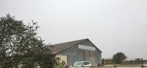 Γαλλία: Εκλεψαν σαλιγκάρια αξίας 90.000 ευρώ από φάρμα | Protagon.gr