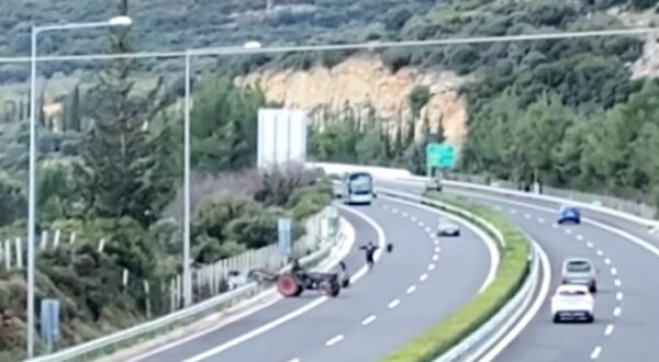 &Delta;&iota;&kappa;&omicron;&gamma;&rho;&alpha;&phi;ί&alpha; &gamma;&iota;&alpha; &tau;&omicron;&upsilon;&sigmaf; &alpha;&gamma;&rho;ό&tau;&epsilon;&sigmaf; &sigma;&tau;&eta; &Nu;&epsilon;&mu;έ&alpha; &pi;&omicron;&upsilon; &mu;&pi;ή&kappa;&alpha;&nu; &xi;&alpha;&phi;&nu;&iota;&kappa;ά &sigma;&tau;&eta;&nu; &Epsilon;&theta;&nu;&iota;&kappa;ή &kappa;&alpha;&iota; &kappa;&omicron;&upsilon;&nu;&omicron;ύ&sigma;&alpha;&nu; &sigma;&eta;&mu;&alpha;ί&epsilon;&sigmaf; &sigma;&tau;&alpha; &Iota;&Chi;