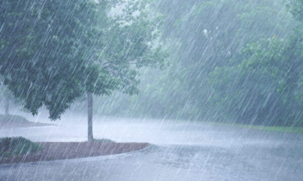 &laquo;&Alpha;&gamma;&rho;&iota;&epsilon;ύ&epsilon;&iota;&raquo; &omicron; &kappa;&alpha;&iota;&rho;ό&sigmaf; &ndash; &Beta;&rho;&omicron;&chi;έ&sigmaf; &kappa;&alpha;&iota; &kappa;&alpha;&tau;&alpha;&iota;&gamma;ί&delta;&epsilon;&sigmaf; &sigma;&epsilon; ό&lambda;&eta; &tau;&eta; &chi;ώ&rho;&alpha;